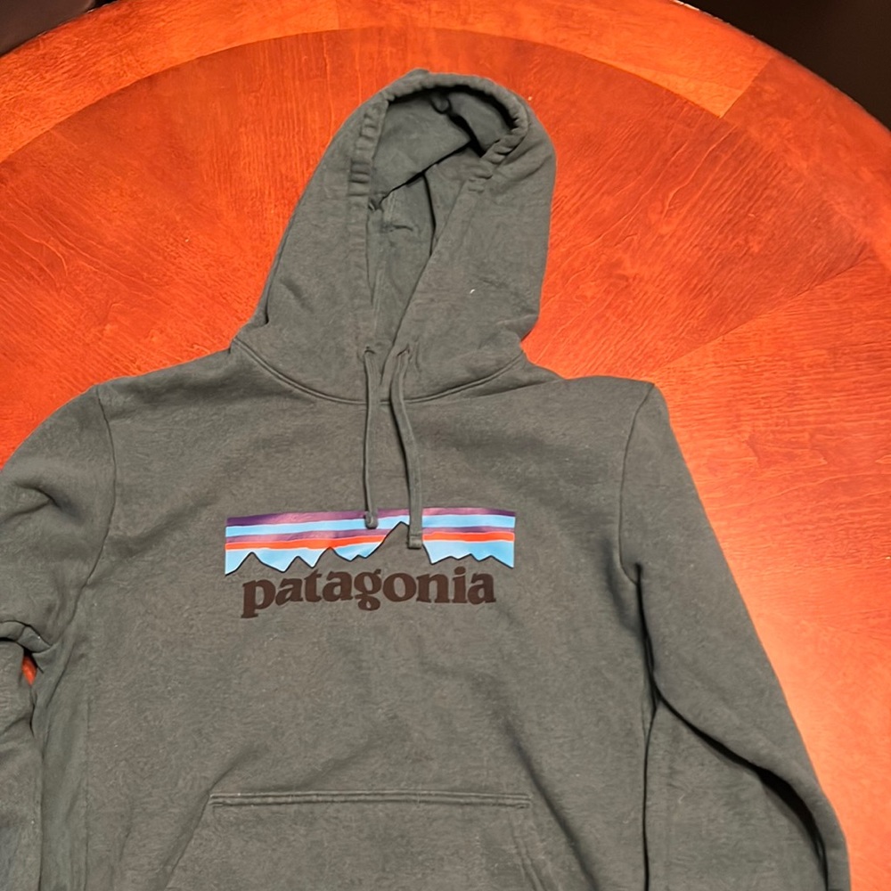 Patagonia hoodie